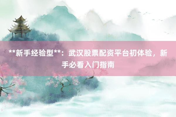 **新手经验型**：武汉股票配资平台初体验，新手必看入门指南