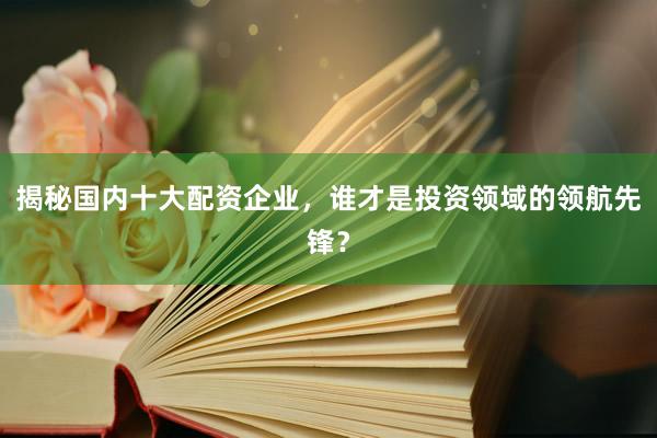 揭秘国内十大配资企业，谁才是投资领域的领航先锋？