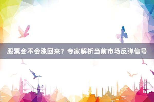 股票会不会涨回来？专家解析当前市场反弹信号