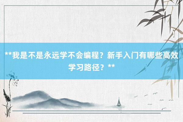 **我是不是永远学不会编程？新手入门有哪些高效学习路径？**