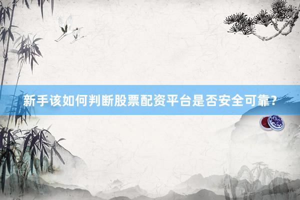 新手该如何判断股票配资平台是否安全可靠？