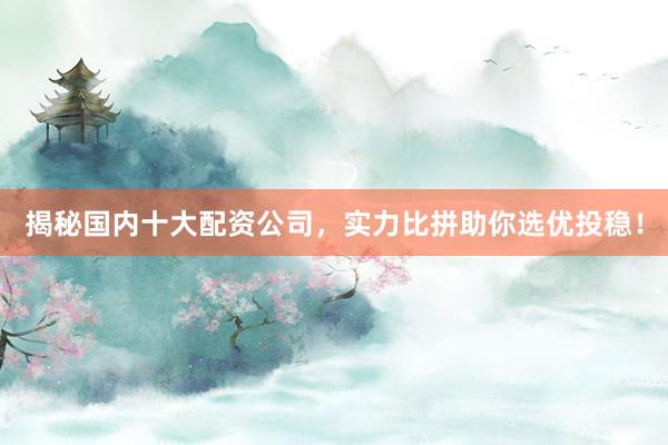 揭秘国内十大配资公司，实力比拼助你选优投稳！