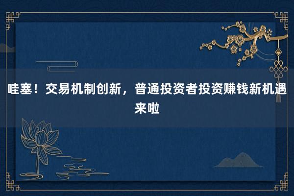 哇塞！交易机制创新，普通投资者投资赚钱新机遇来啦