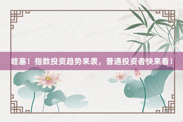 哇塞！指数投资趋势来袭，普通投资者快来看！